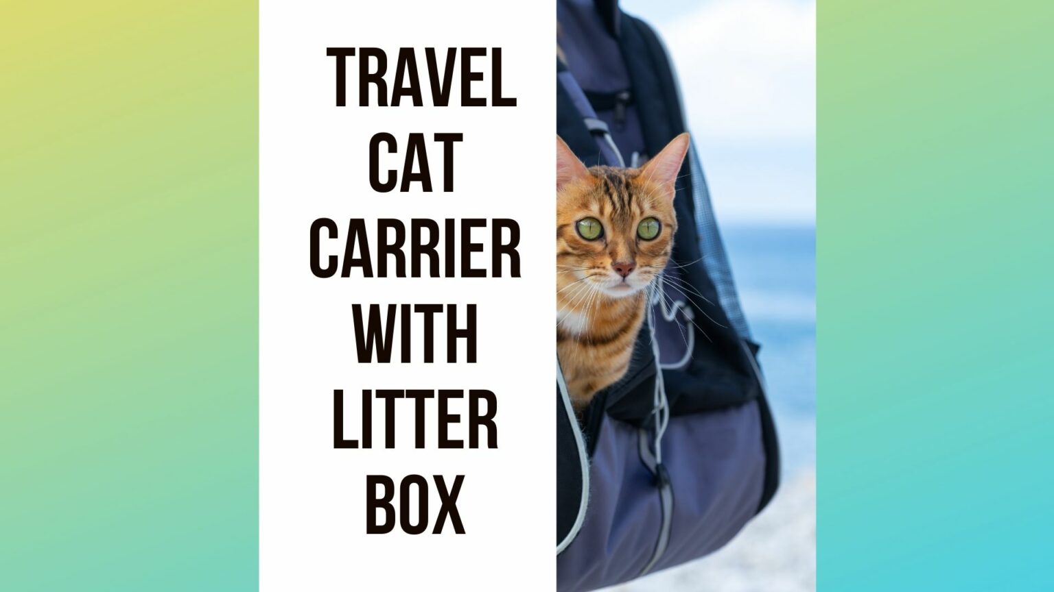 5 Best Travel Cat Carrier With Litter Box Traveling With Your Cat