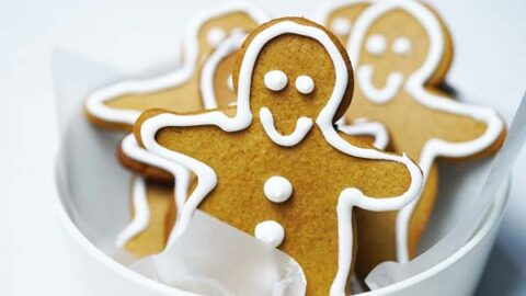 Holiday Fun for Cats: Can Cats eat Gingerbread?