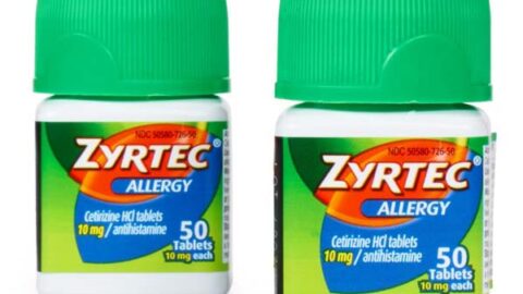 Help My Cat has Allergies: Is Zyrtec Safe for Cats?