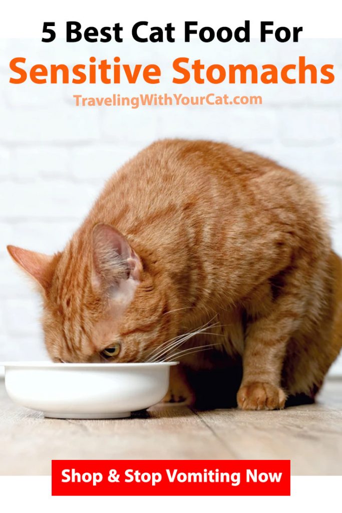 BestCatFoodForSensitiveStomachs Traveling With Your Cat
