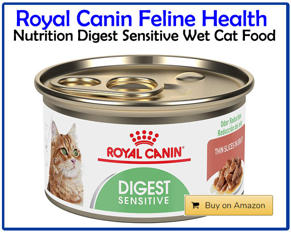 best cat food for sensitive stomach vomiting