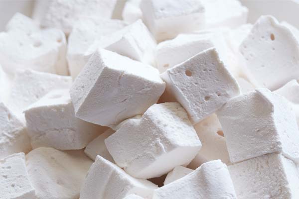 My Cat Loves Marshmallows – Is It Safe?