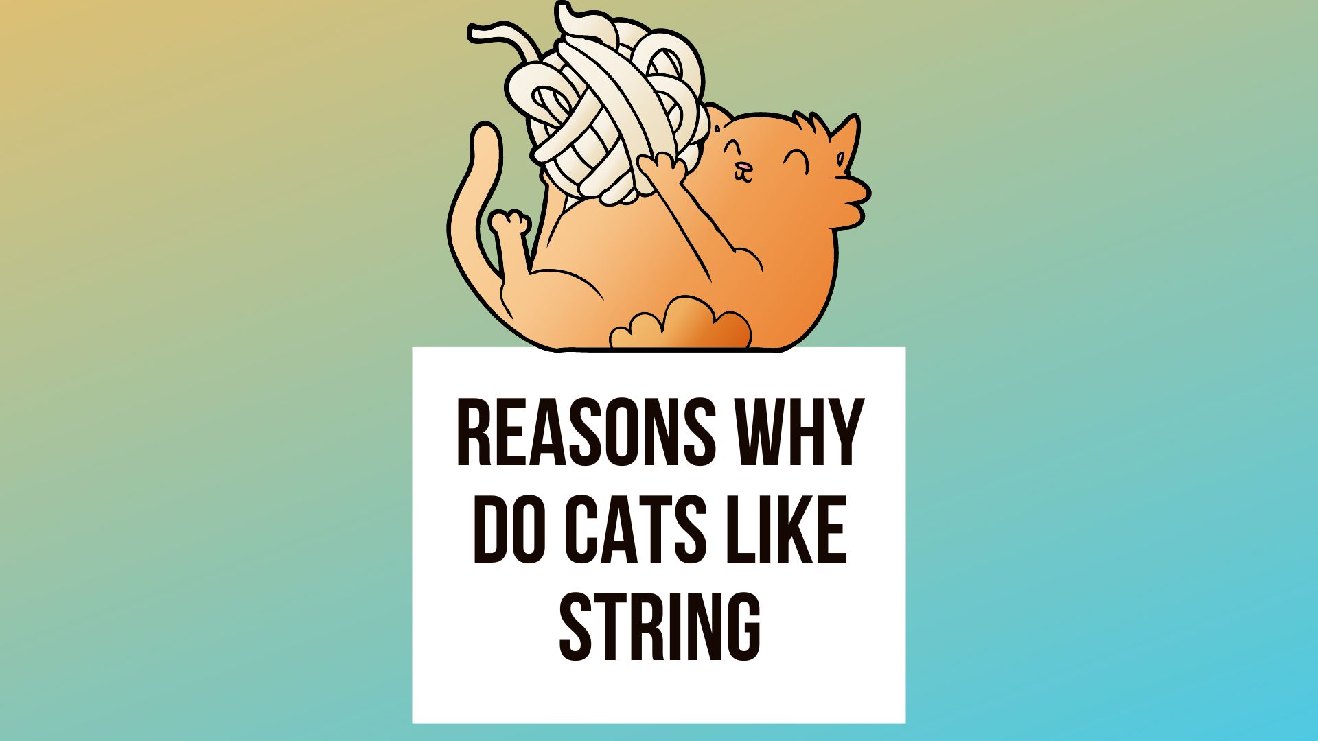 Reasons Why Do Cats Like String