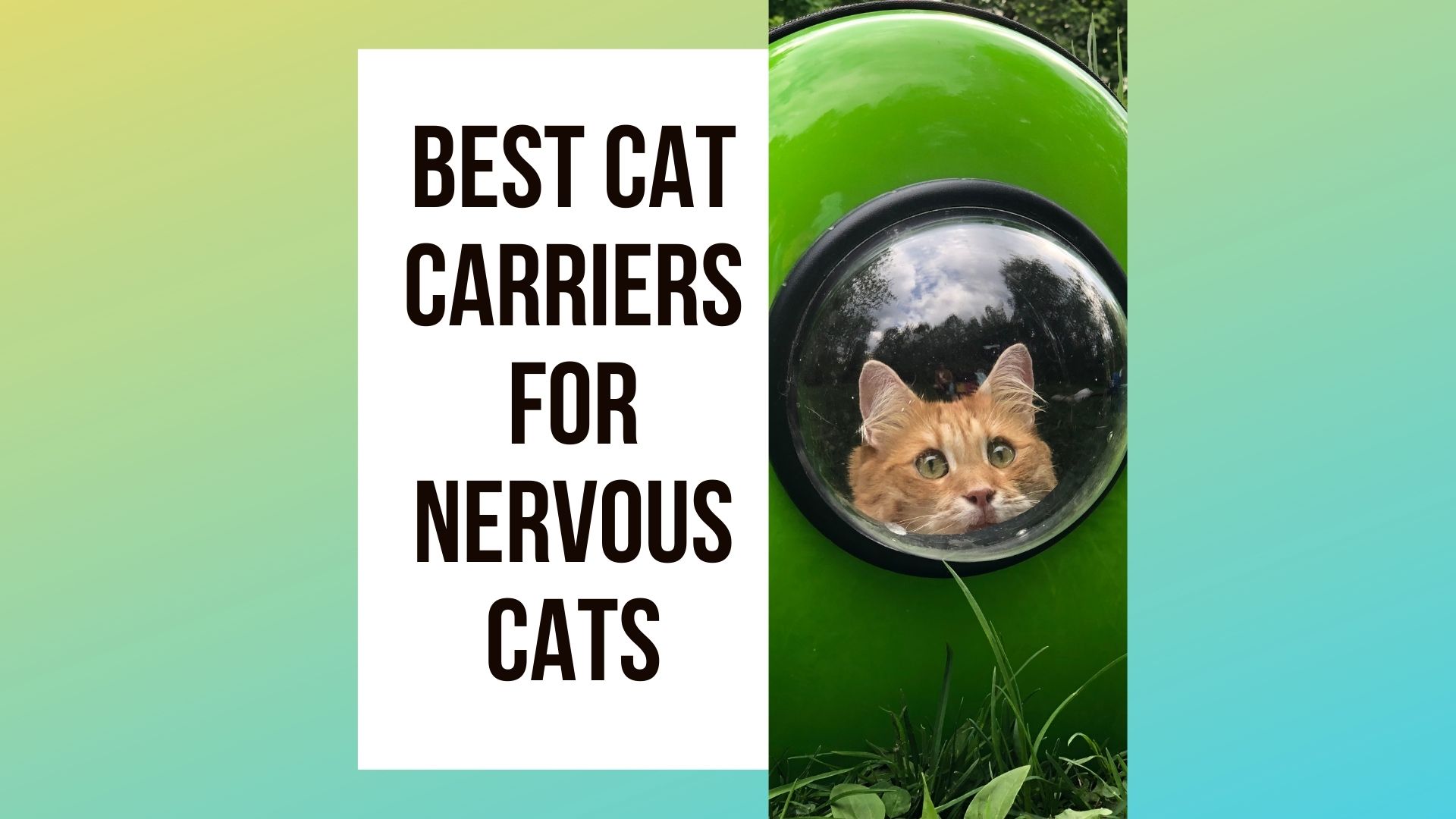 Cat Carrier For Nervous Cats