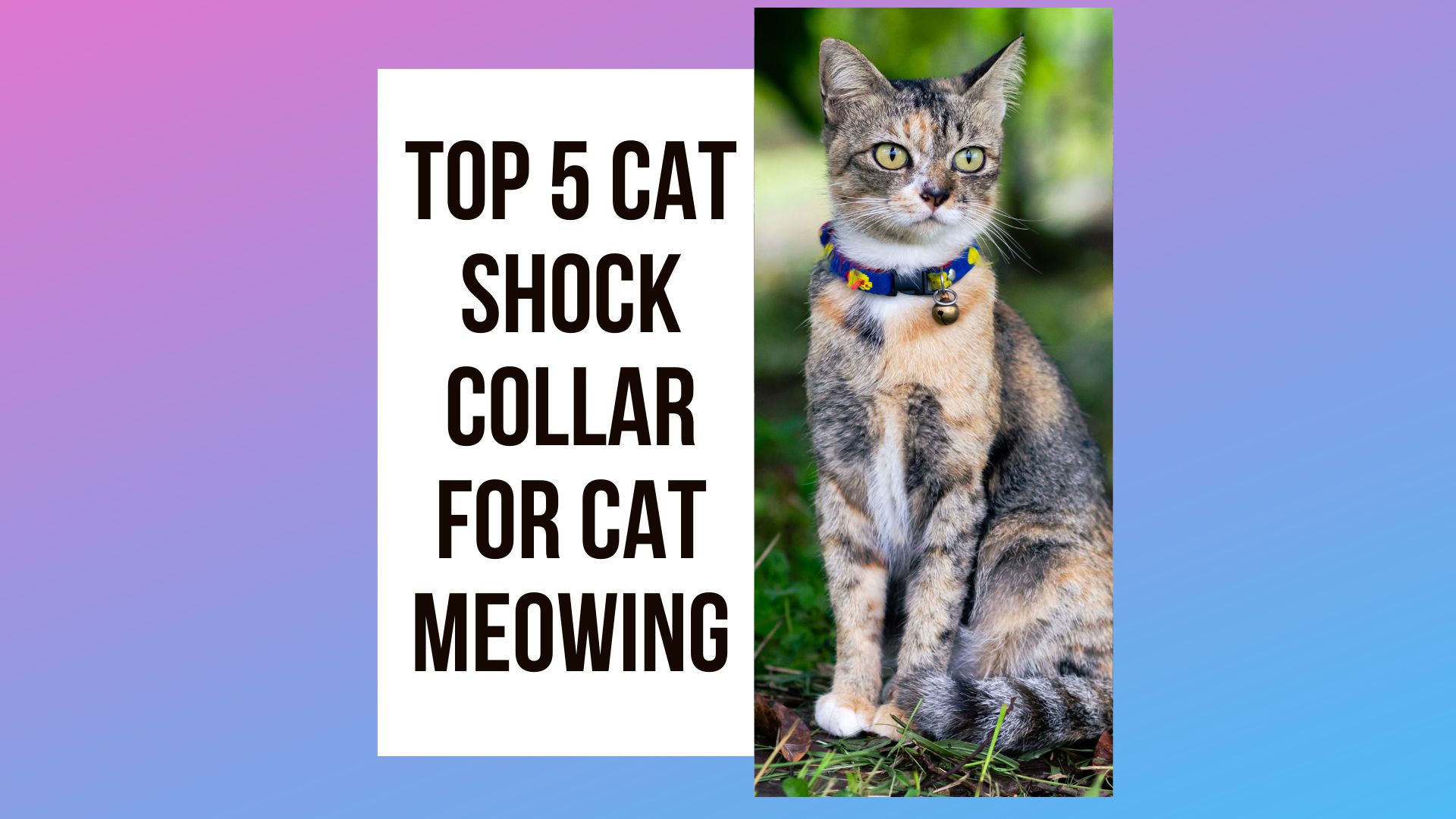 Cat Shock Collar For Cat Meowing