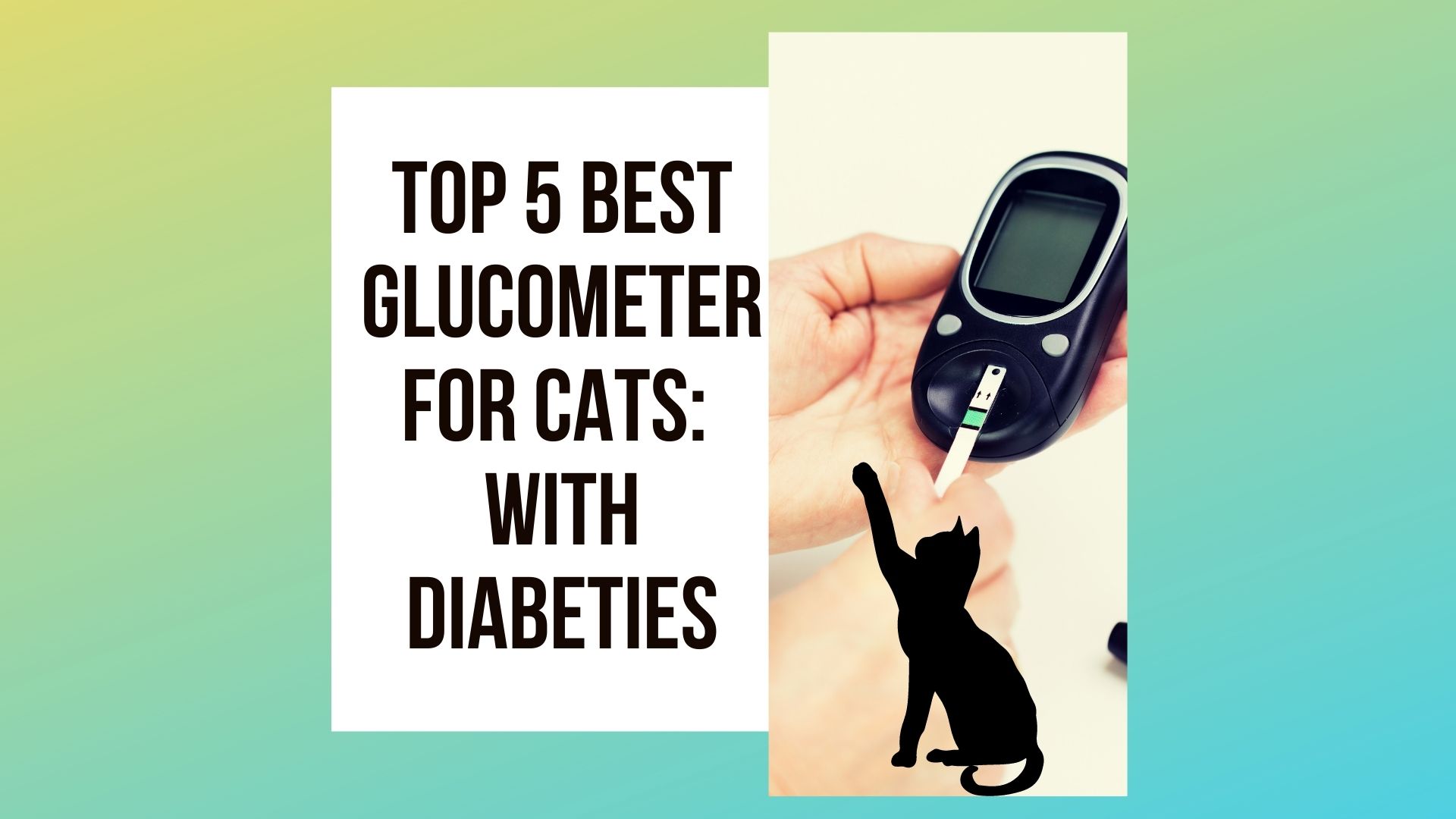 Choosing the Best Glucometer for Cats: Top 5