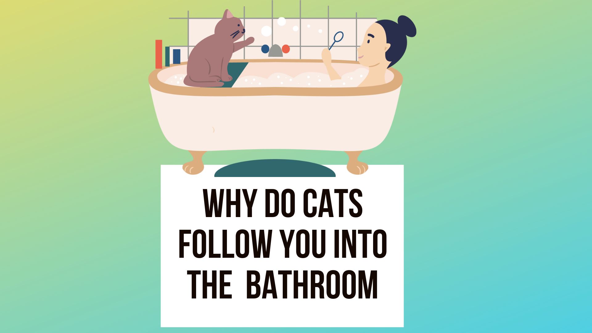 Why Do Cats Follow You into the Bathroom