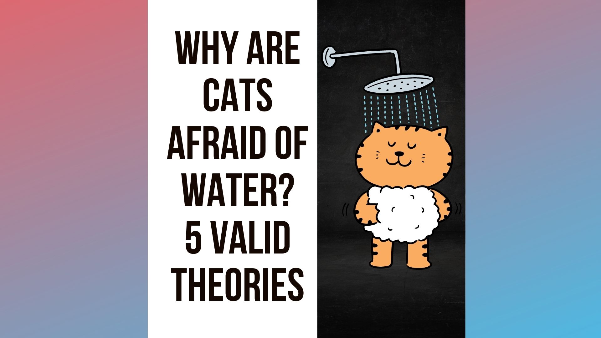 Why Are Cats Afraid of Water?
