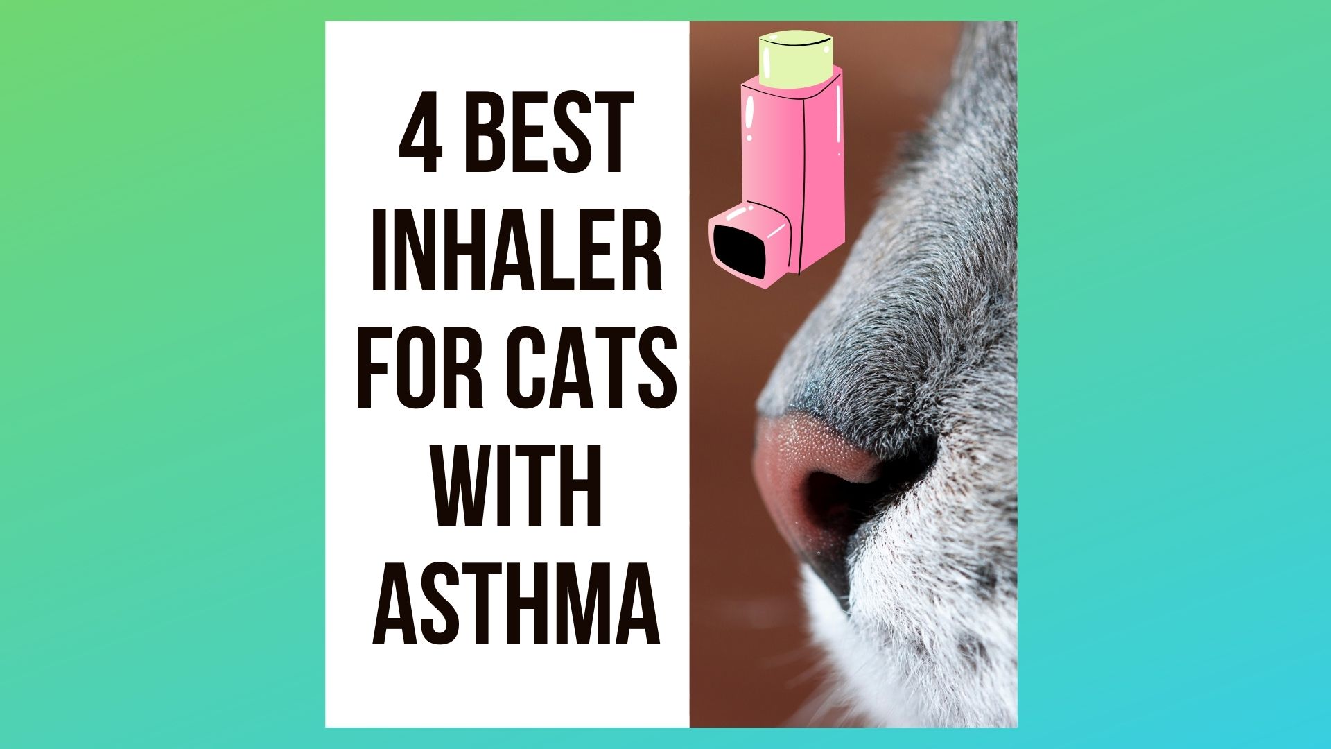 Best Inhalers For Cats with Asthma