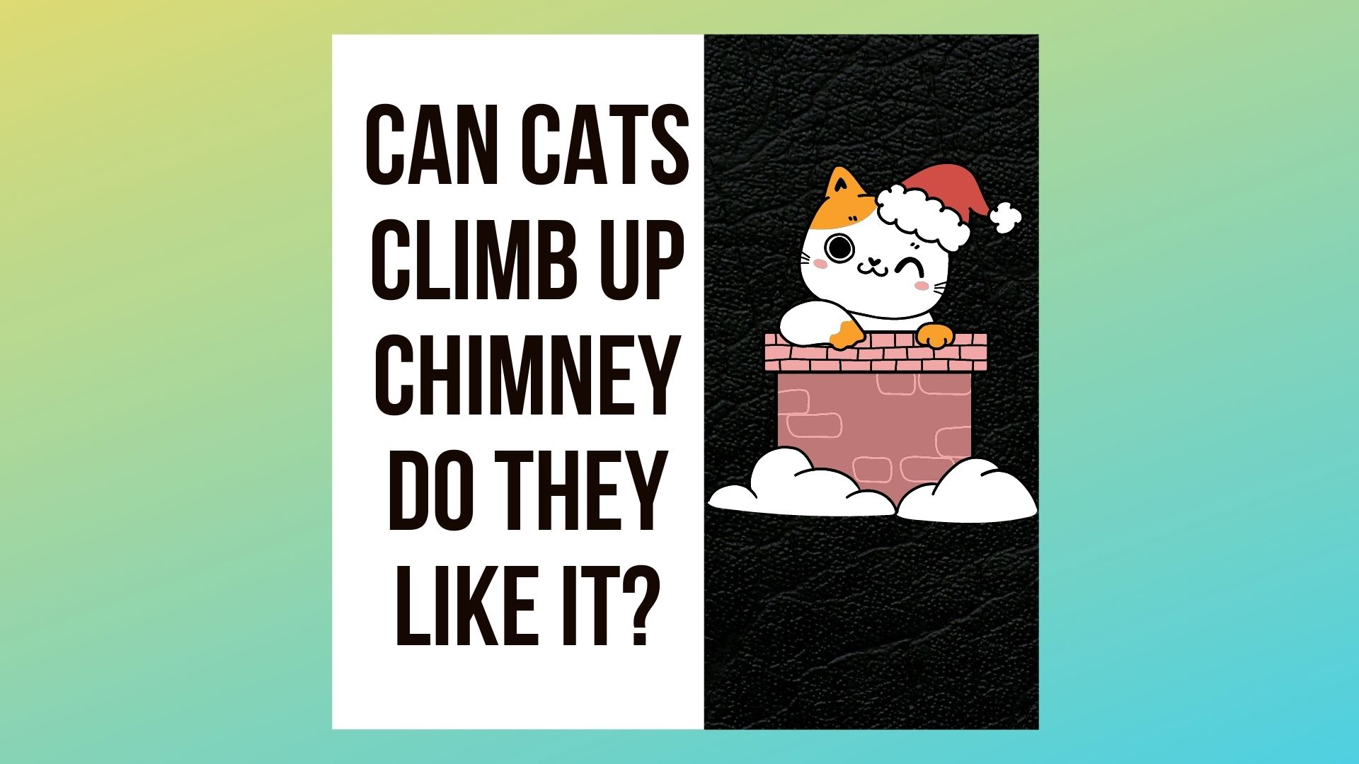Can cats climb up chimneys