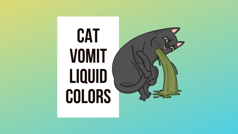 Cat Throwing Up Pink Liquid? 6 Cat Vomit Colors