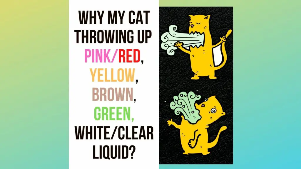 Cat Throwing Up Pink Liquid?
