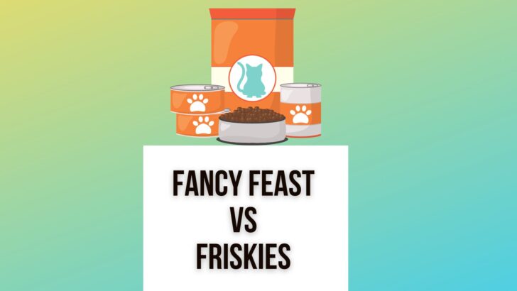 Purina Friskies Vs Fancy Feast: Which One Is Better?