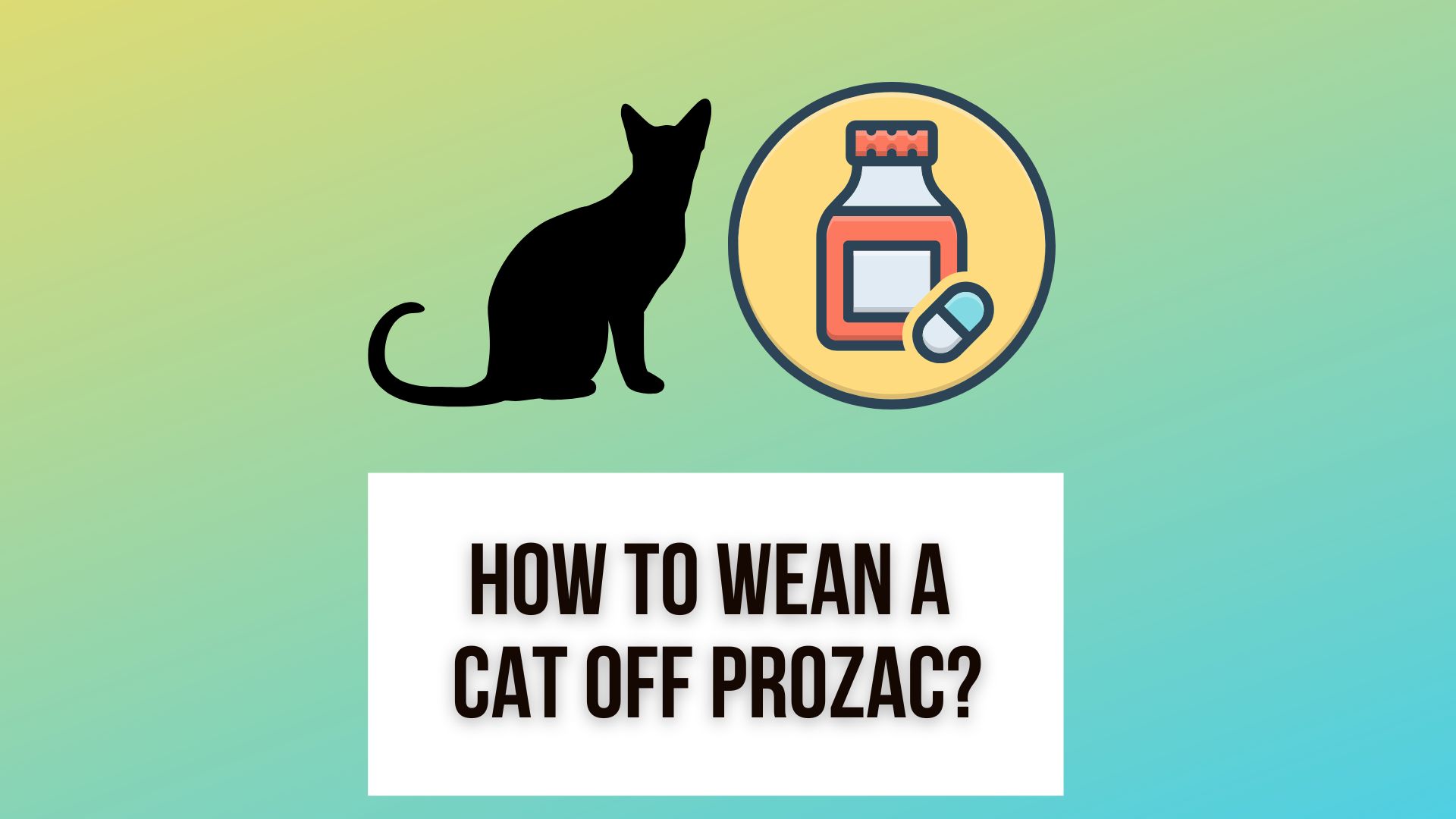 Wean A Cat Off Prozac