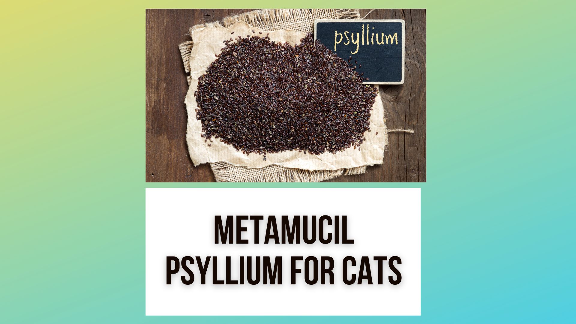 Metamucil/Psyllium Fiber for Cats: Natural Constipation Remedy