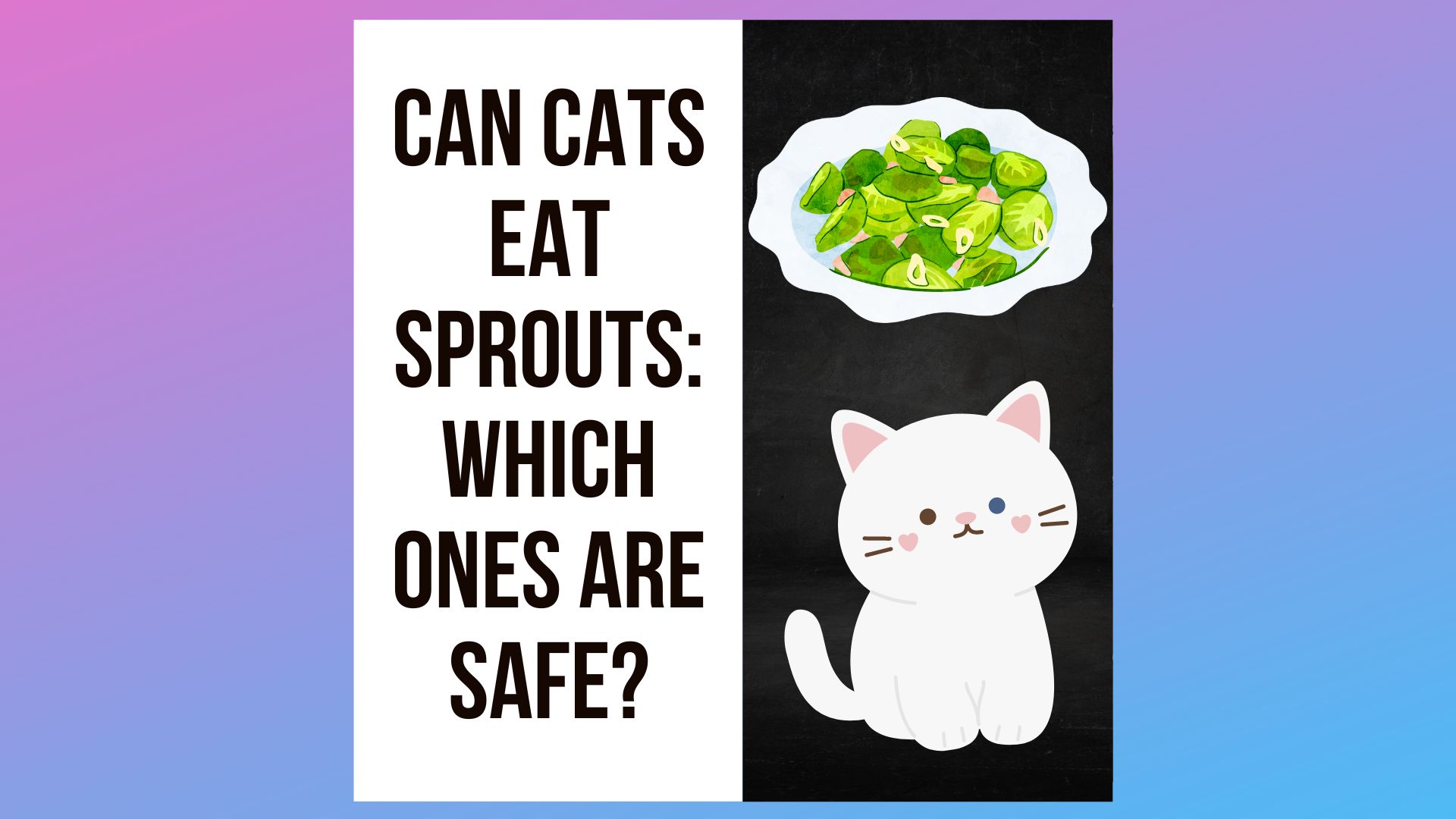 can cats eat sprouts