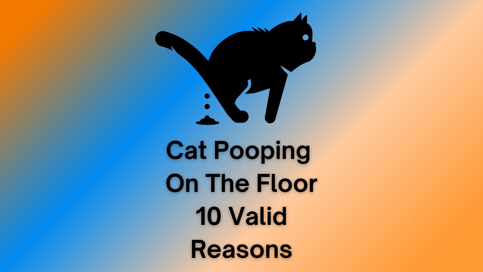 Cat Pooping On The Floor 10+Valid Reasons!