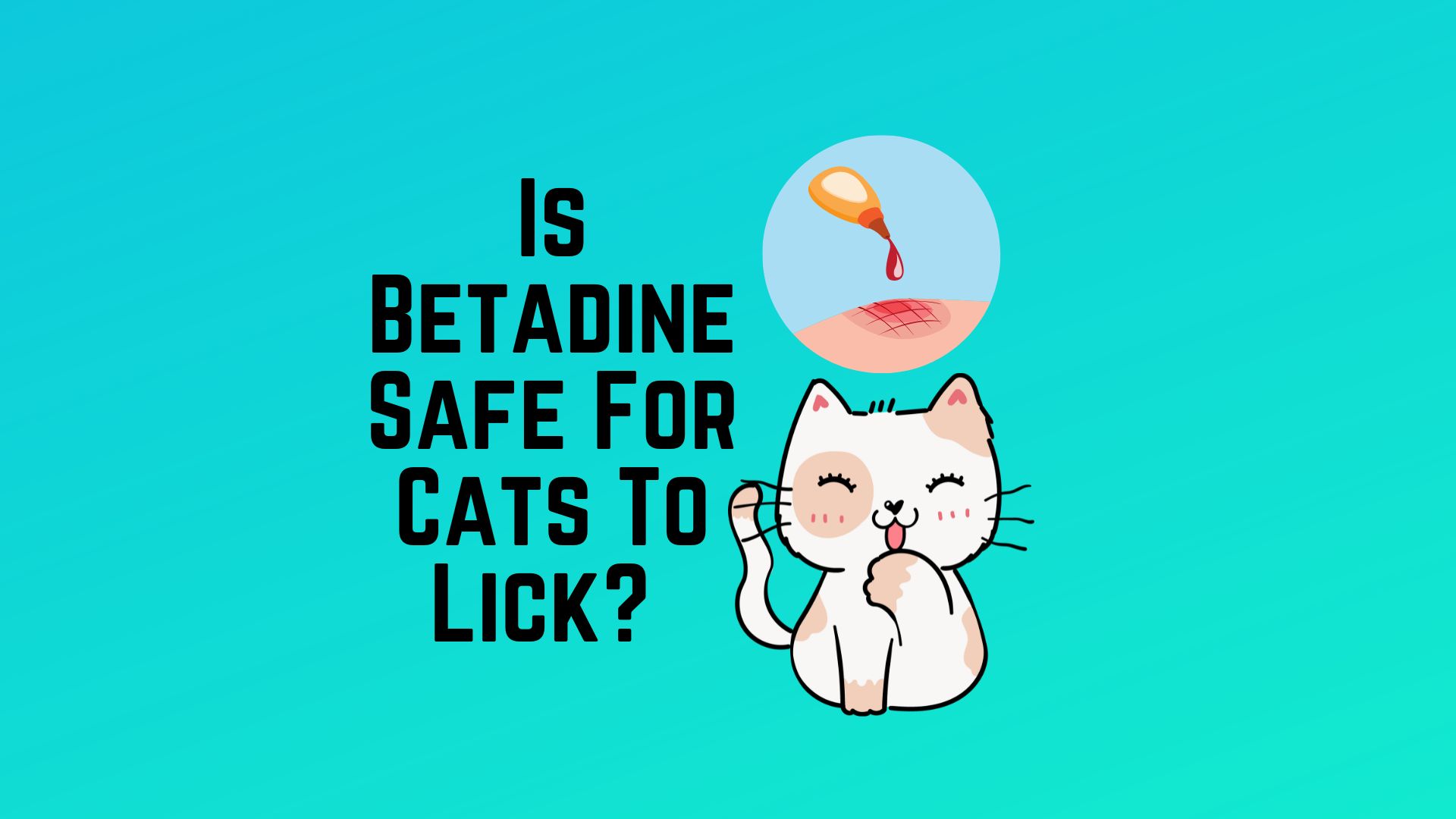 Is Betadine Safe For Cats To Lick Pros and Cons