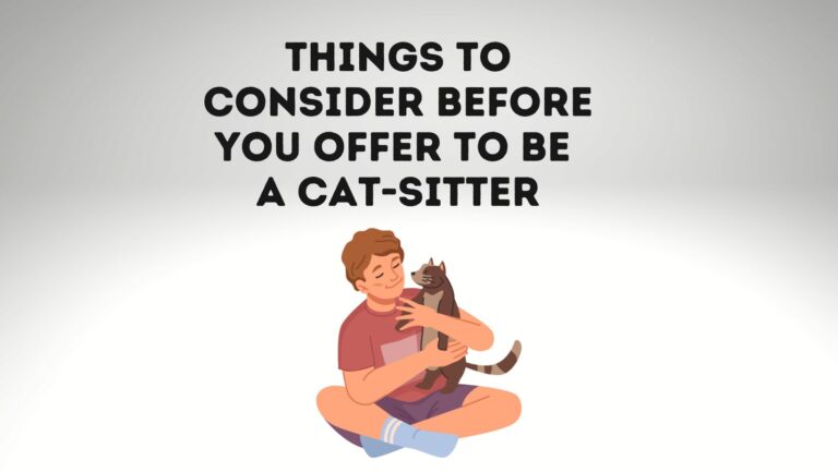 Things to Consider Before You Offer to Be a Cat-Sitter