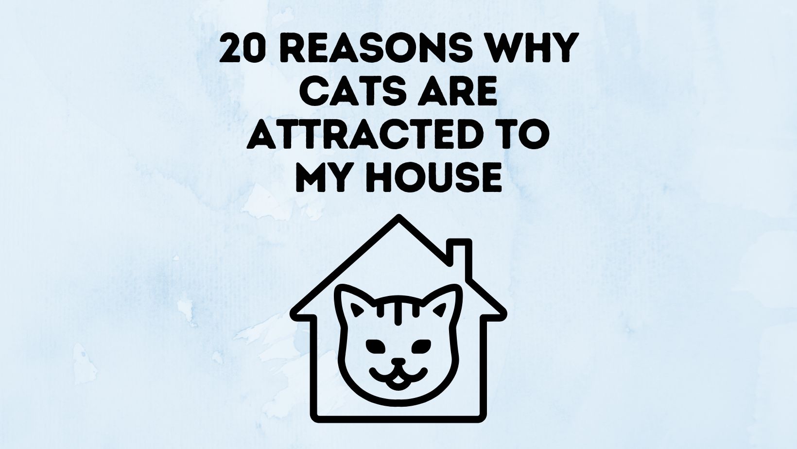 Reasons Why Cats Are Attracted To My House