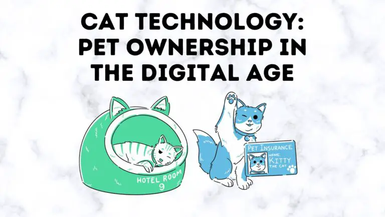 Cat Technology: Elevating Pet Ownership in the Digital Age