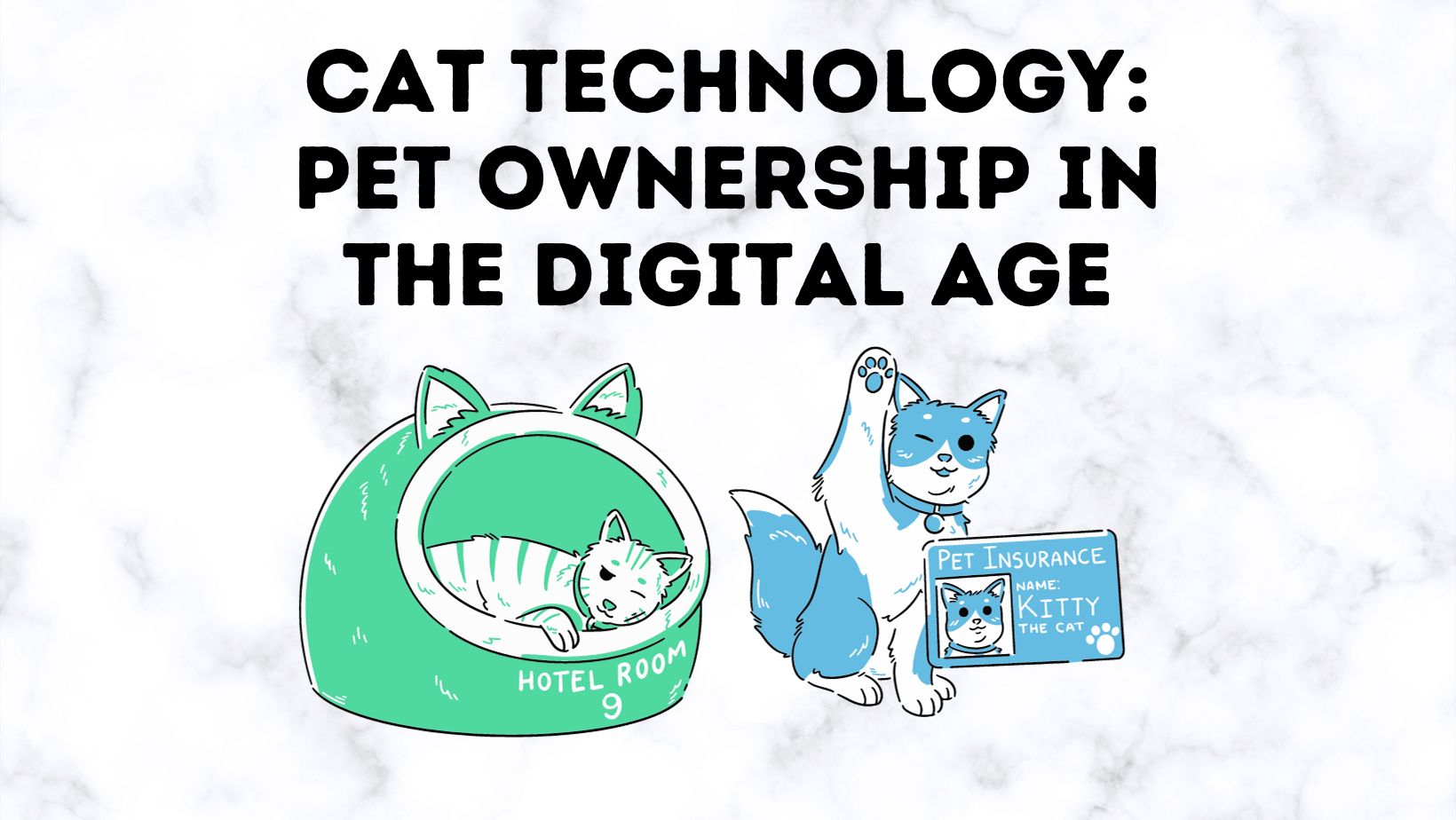 Cat Technology Elevating Pet Ownership in the Digital Age