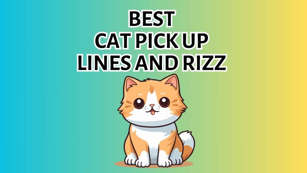 200+ Best Cat Pick Up Lines and Rizz Lines Traveling With Your Cat