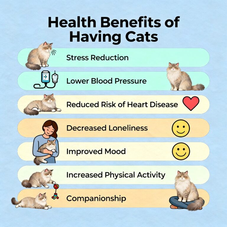 Health Benefits of Having Cats